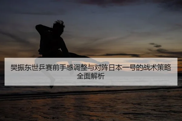 樊振东世乒赛前手感调整与对阵日本一号的战术策略全面解析